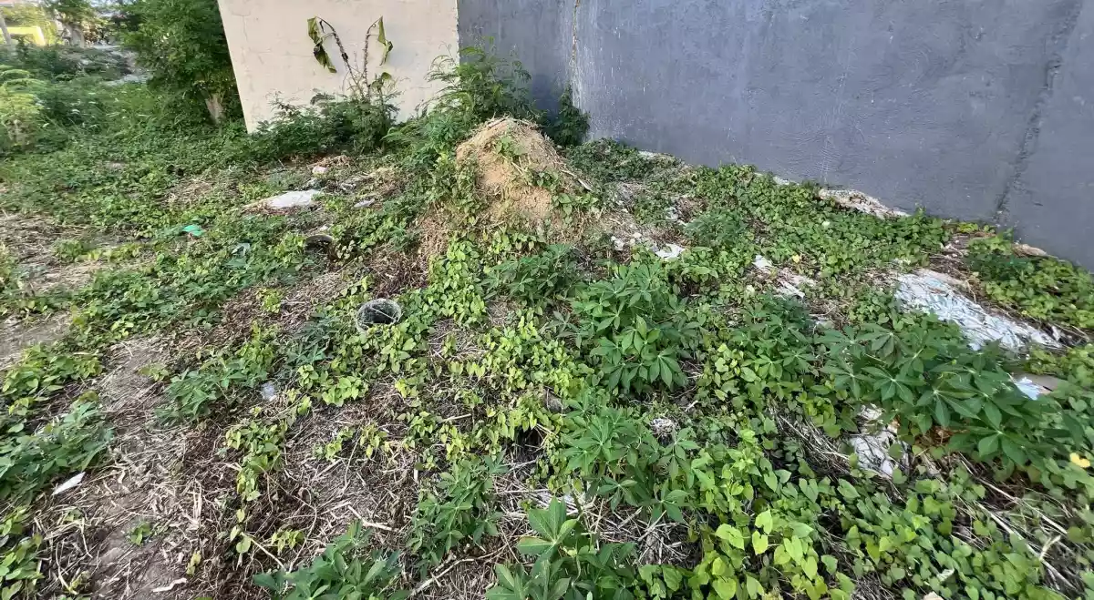 Corona Del Mar Lot — Residential Lot in Talisay, Cebu, Philippines — Photo 4