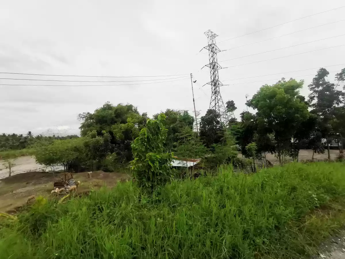 1.5hectares Quarry Area with 1.8has permitted quarry. river - photo 5