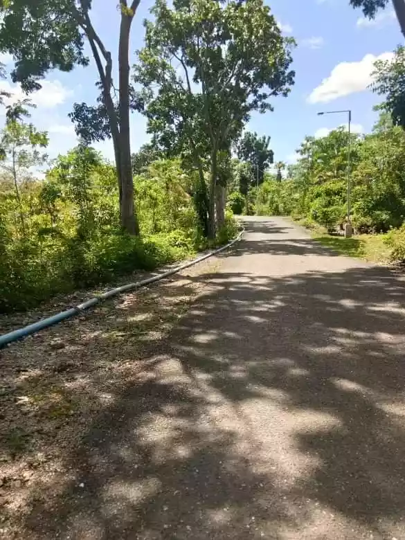 Farm Lot for Sale - photo 5