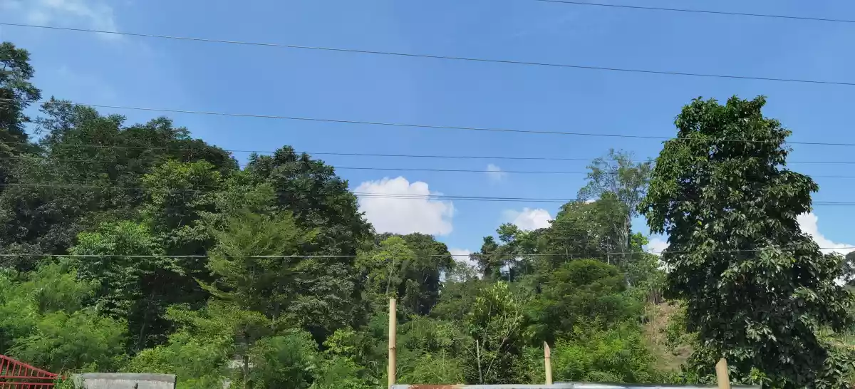 For Sale 17.5 Hectares in Koronadal City
