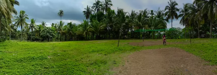 Agricultural Lot For Sale — Agricultural Lot in Cebu, Philippines — Photo 2