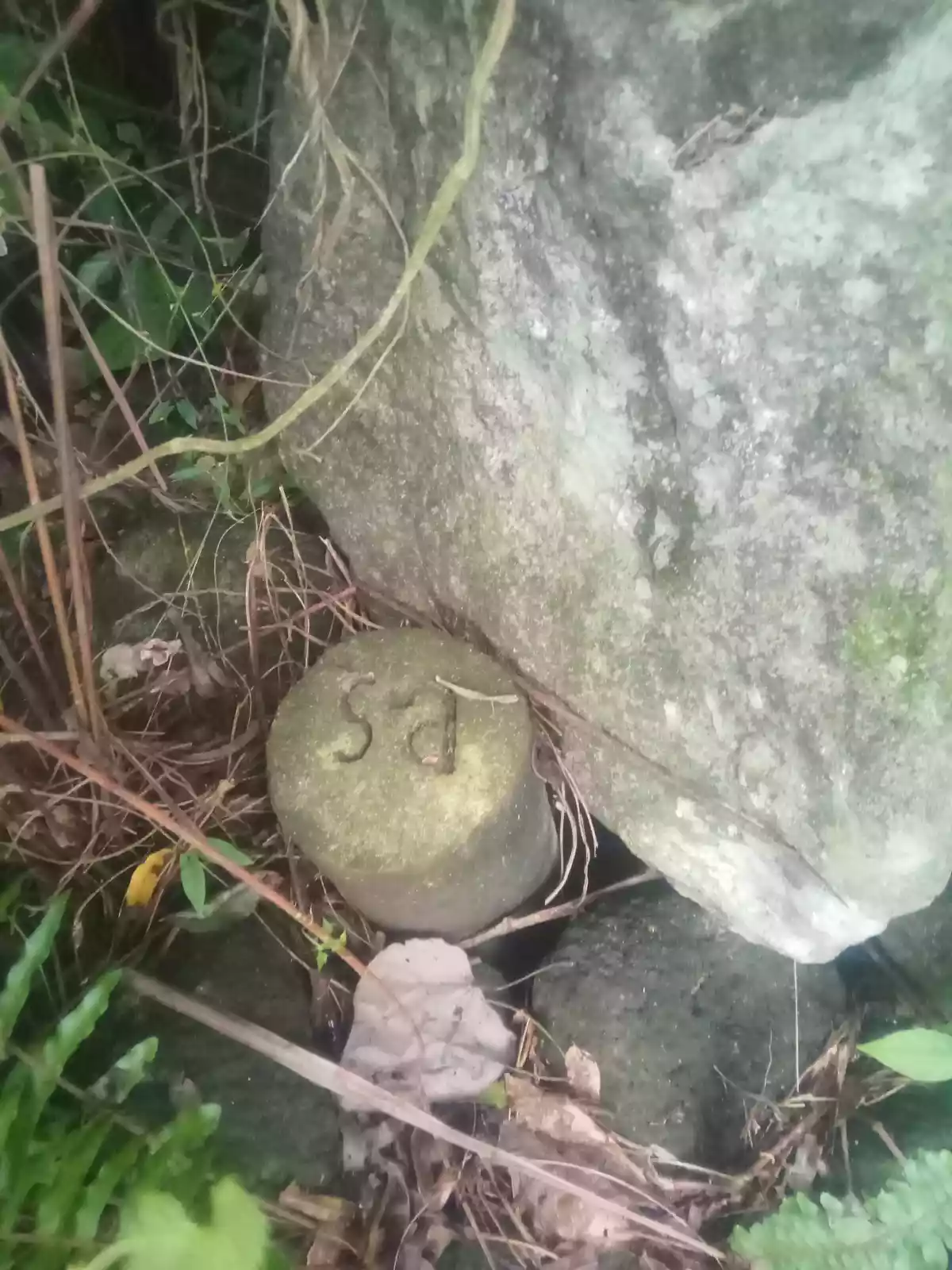 Bong ao Valencia Negros Oriental - photo 2