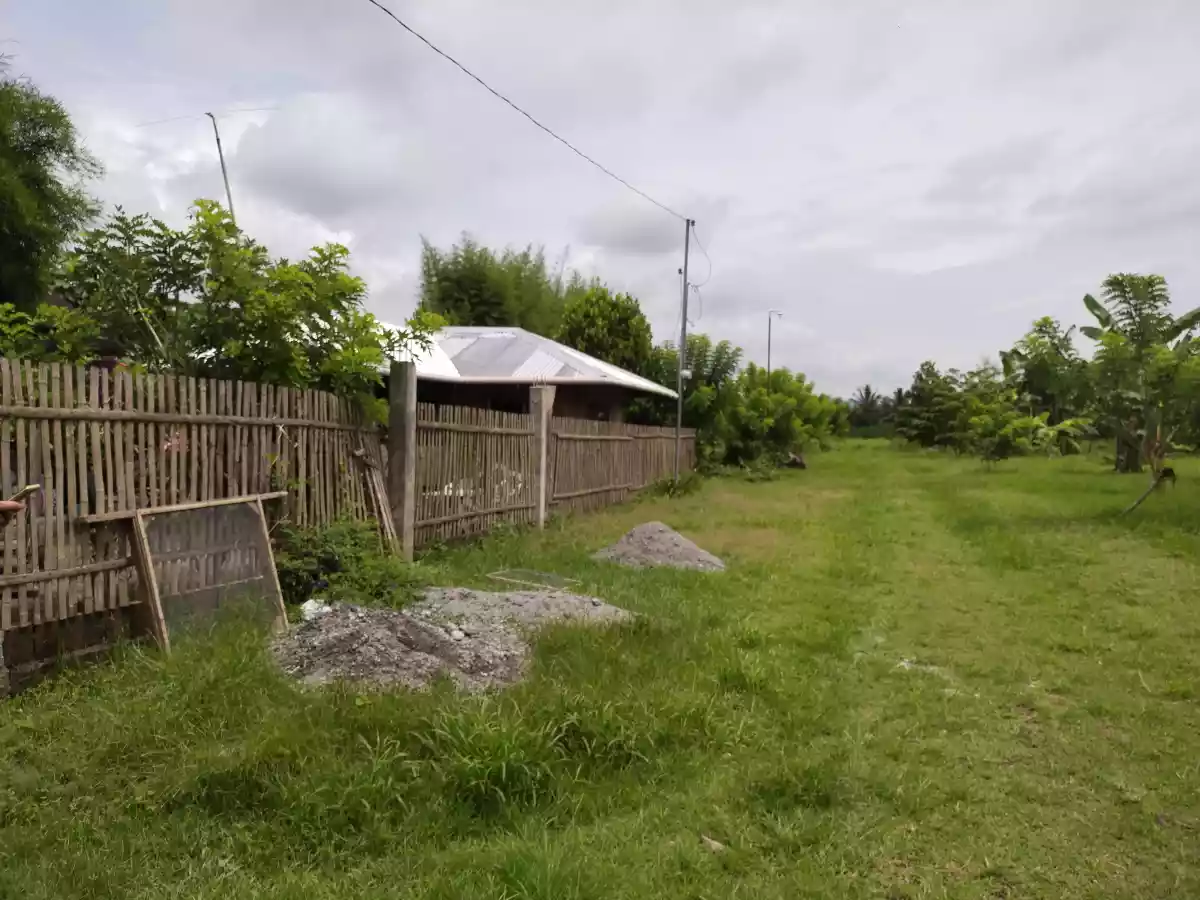 Peaceful community silway8 - photo 3