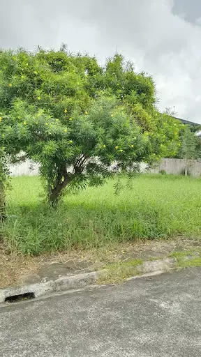 280sqm Lot in Las Villas De Hervias — Residential Lot in Atis Street, Bacolod, Negros Occidental — Photo 7