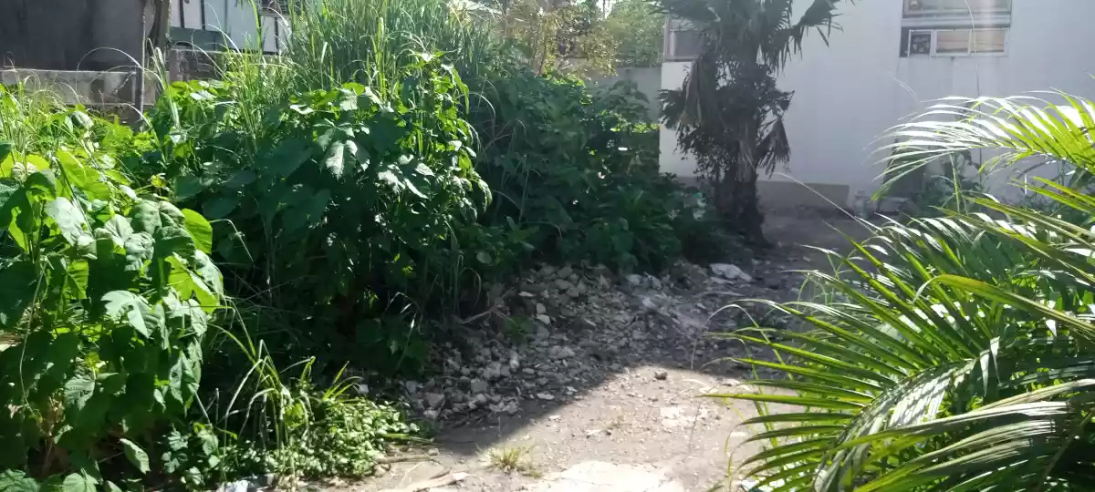lot for rent in Guadalupe — Residential Lot in Cebu City, Cebu, Philippines — Photo 5
