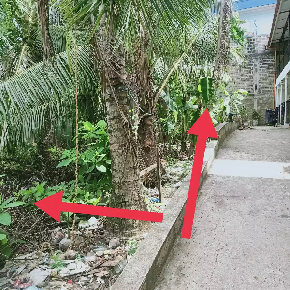 RESIDENTIAL LOT FOR SALE IN CANLINGO SABANG DANAO CITY - photo 2