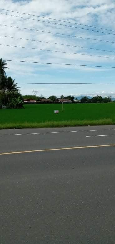 Lot for sale in Butuan - photo 3