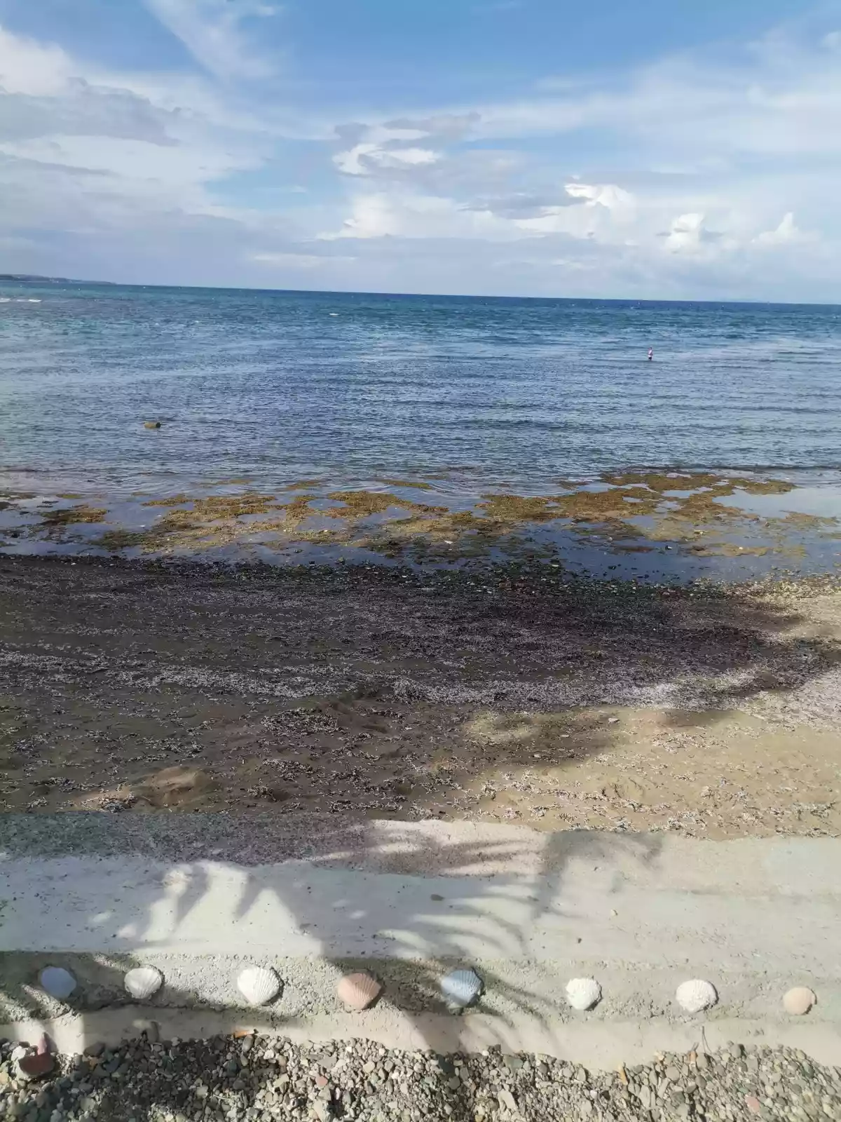 Beachlot in Liloan for Sake — Beach Lot in Liloan, Cebu, Philippines — Photo 2