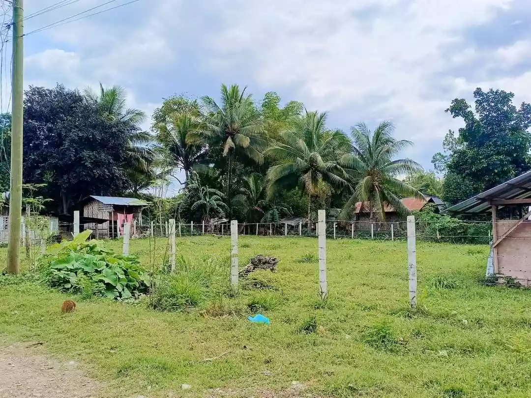 408-2022000221-2 — Residential Lot in Sarangani, Philippines — Photo 2