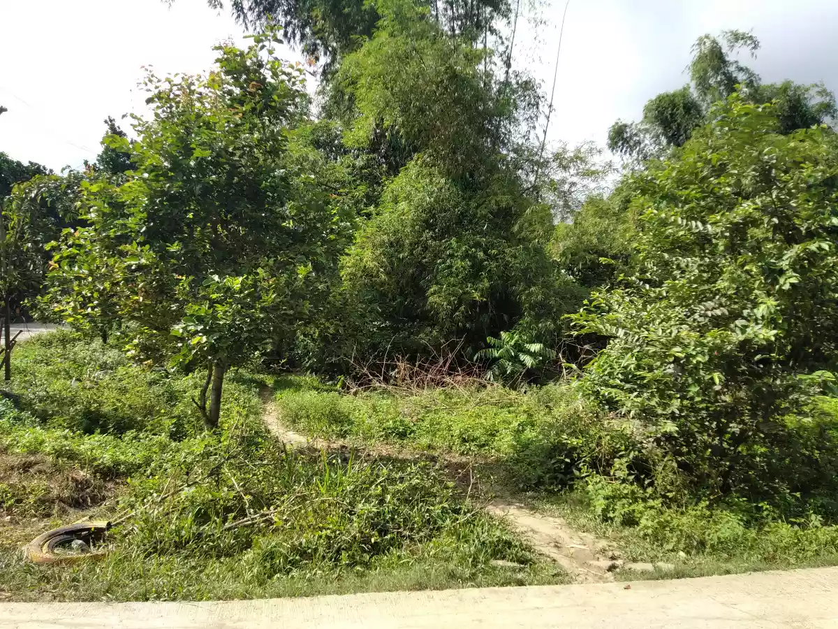 Affordable Industrial Lot - photo 7