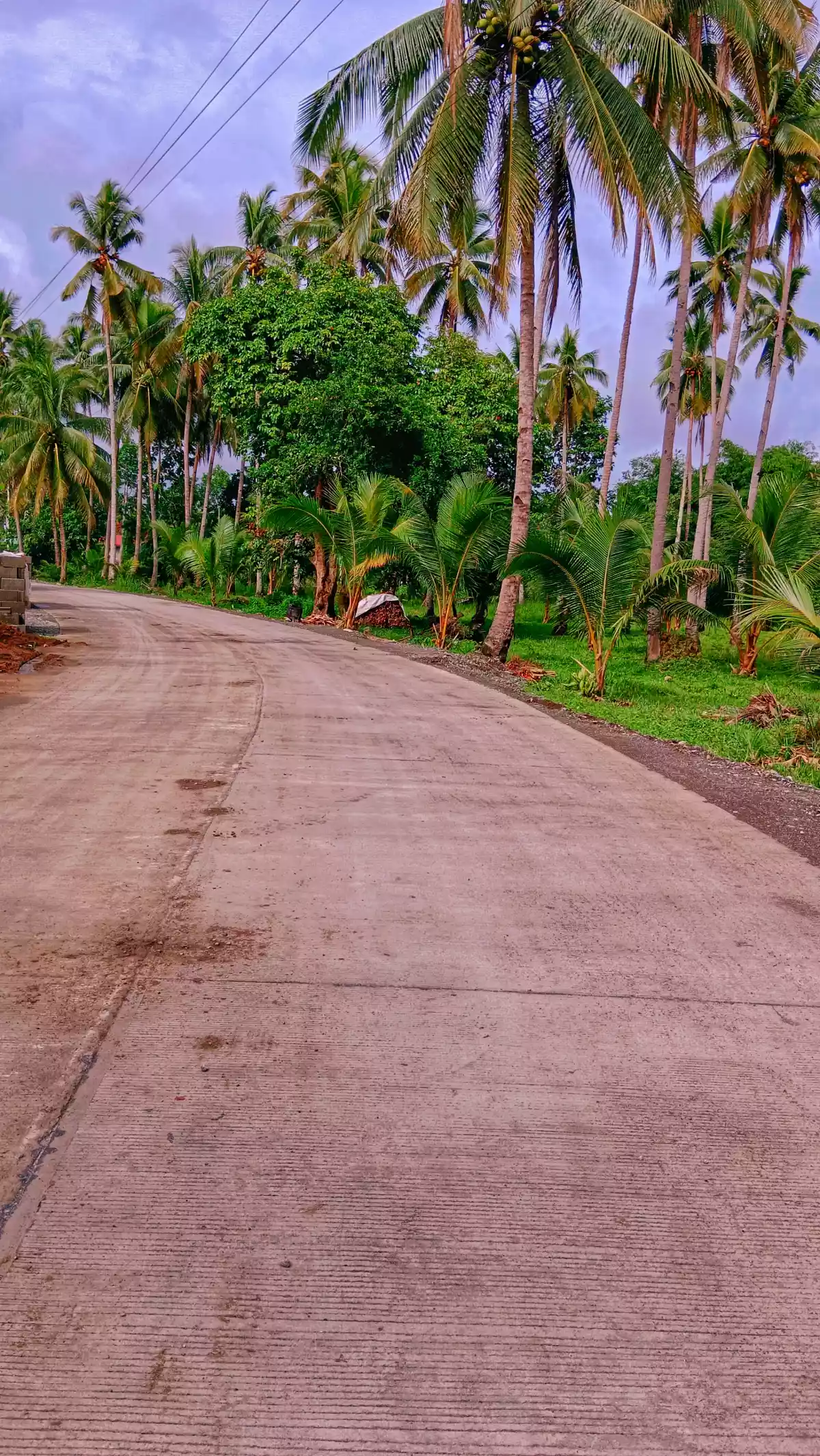 Residential Lot in Cabadbaran For Sale!!! - photo 3