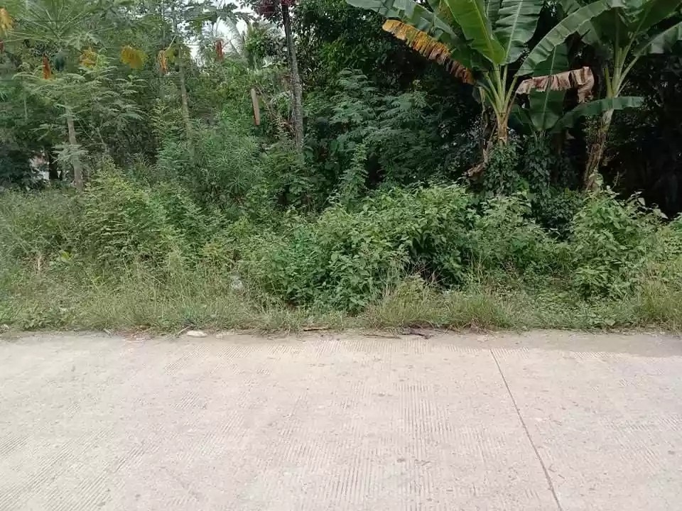 Agriculture Lot Titled - photo 3