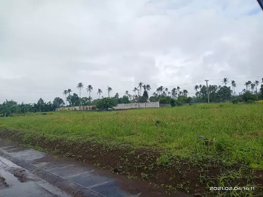 Corner Residential Lot for Sale Naga City - photo 4
