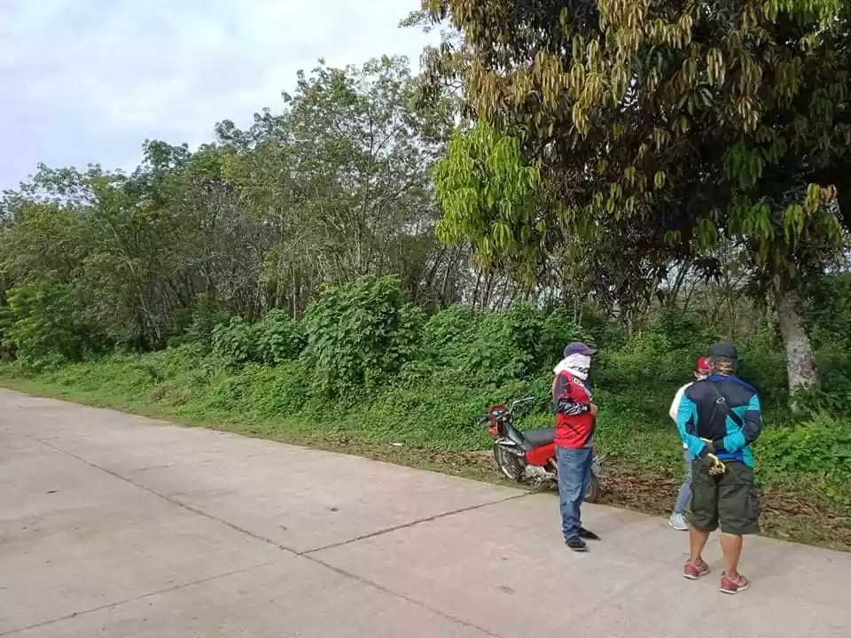 Agricultural Lot - photo 4