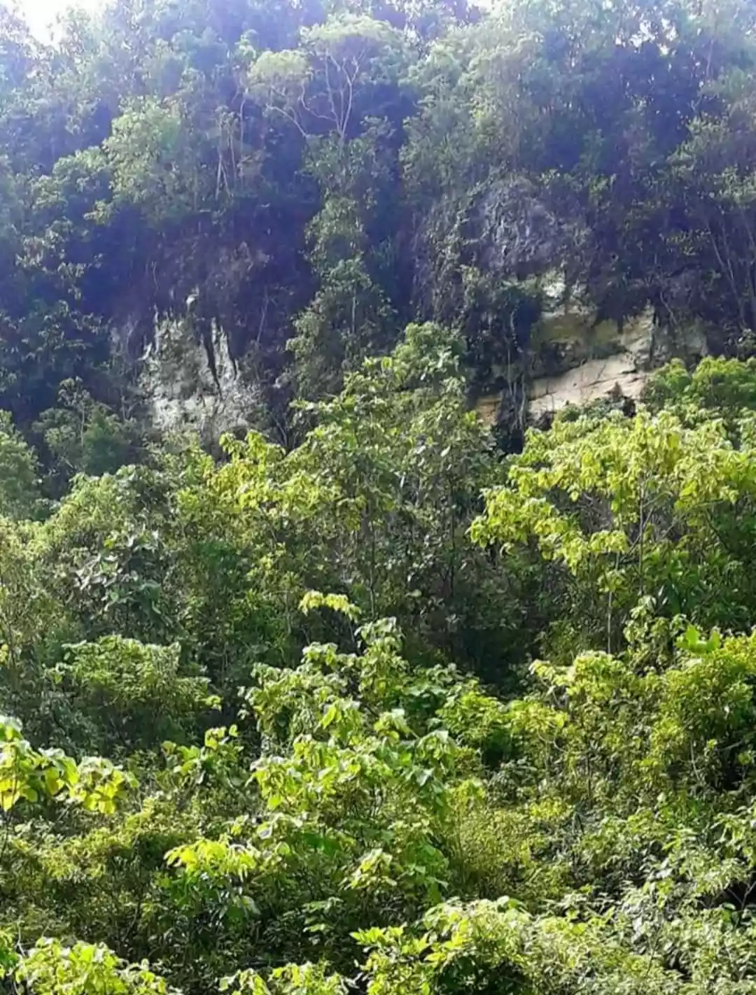 Farm lot For Sale at BIASONG BALAMBAN - photo 4