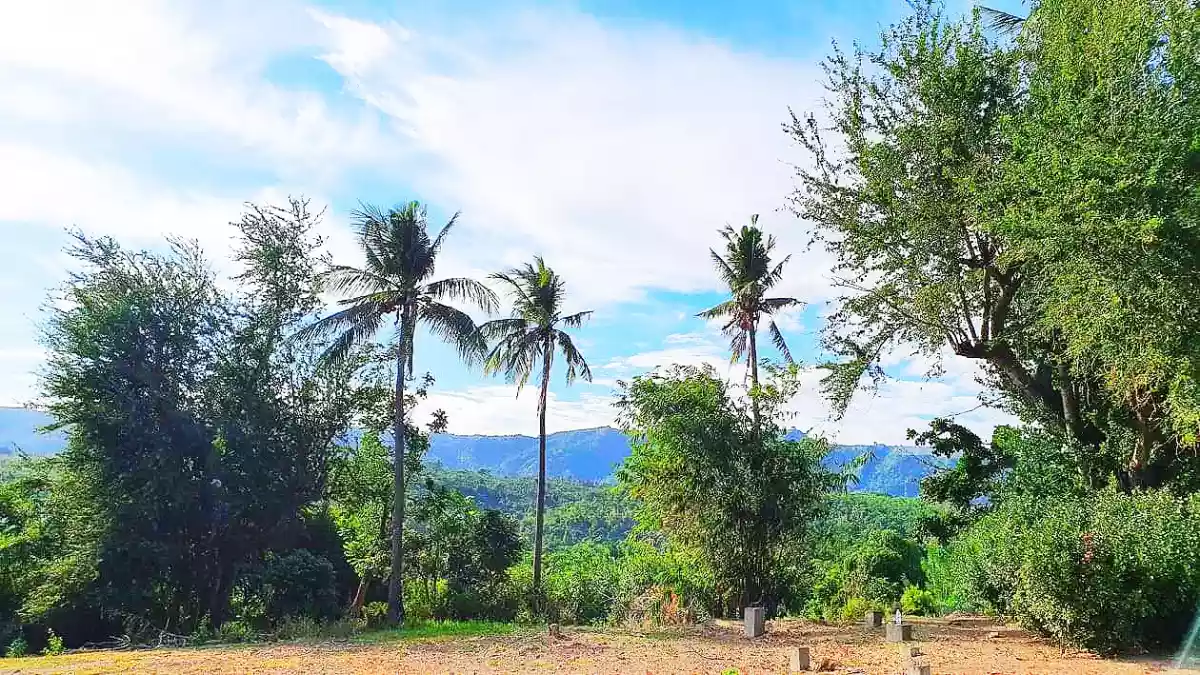 ð•ðˆð’ð“ð€ ð‹ð€ð†ðŽ, ð“ðšðšð¥ ð•ð¢ðžð° ð‡ðžð¢ð ð¡ð­ð¬  - photo 5