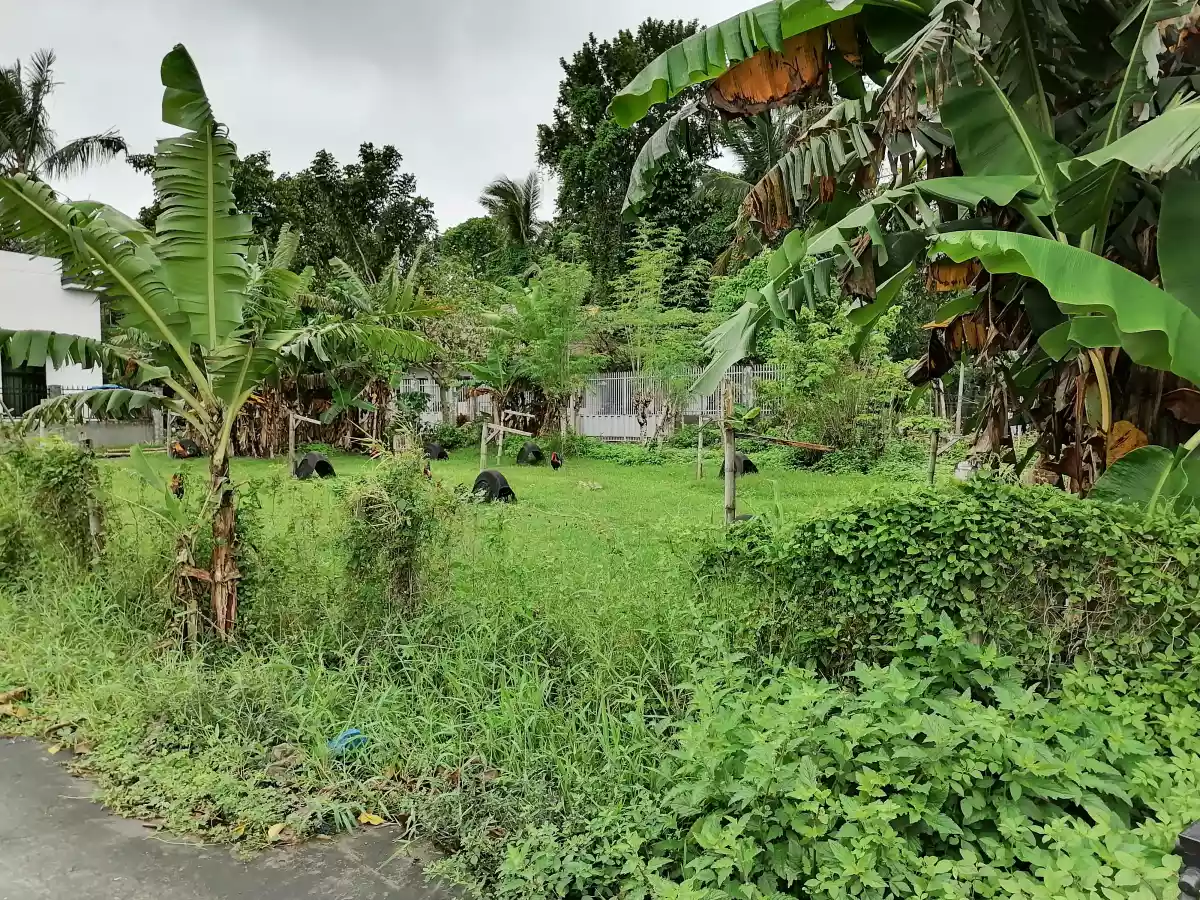 140 sqm in San Esteban Village Bago City - photo 5