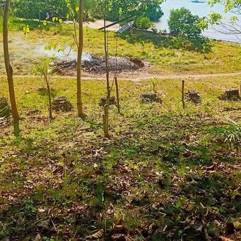 Beach house & lot - photo 5