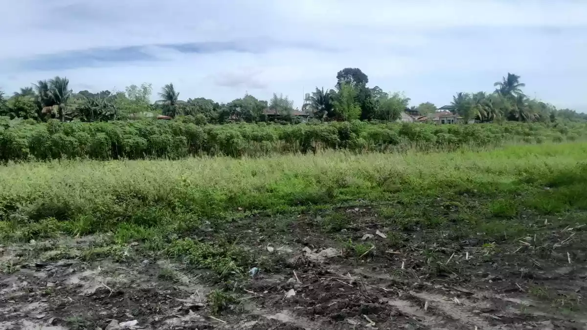 Agricultural Lot Ideal for Commercial Lot in Mabuhay Road (Corner) — Agricultural Lot in General Santos City, South Cotabato, Philippines — Photo 3