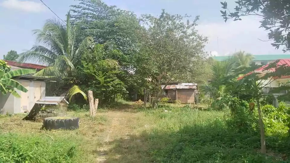 300 & 308 sqm Residential Lots for Sale in Lacap Subd., Gensan — Agricultural Lot in Lacap Subdivision, General Santos City, South Cotabato — Photo 2
