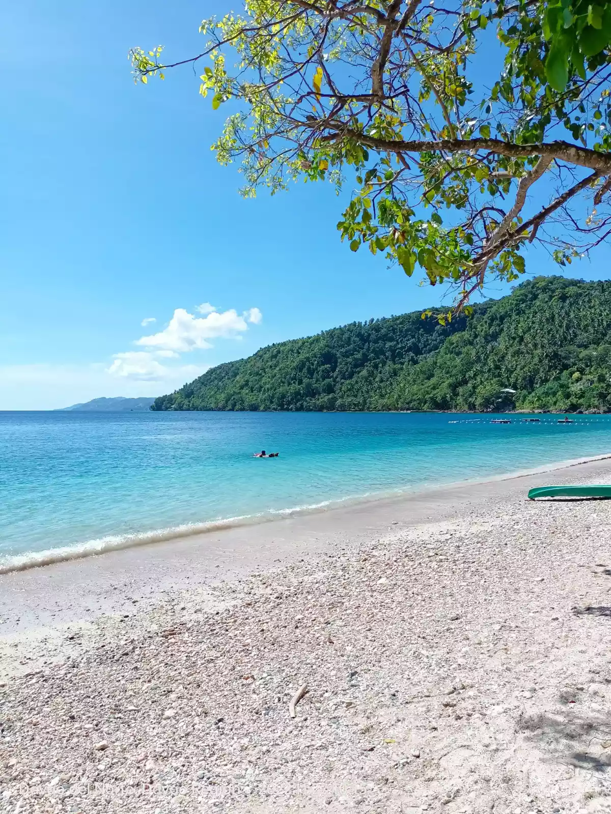 1 HECTARE BEACHLINE IN CANIBAD, SAMAL — Beach Lot in Samal, Island Garden City of Samal, Davao del Norte — Photo 7