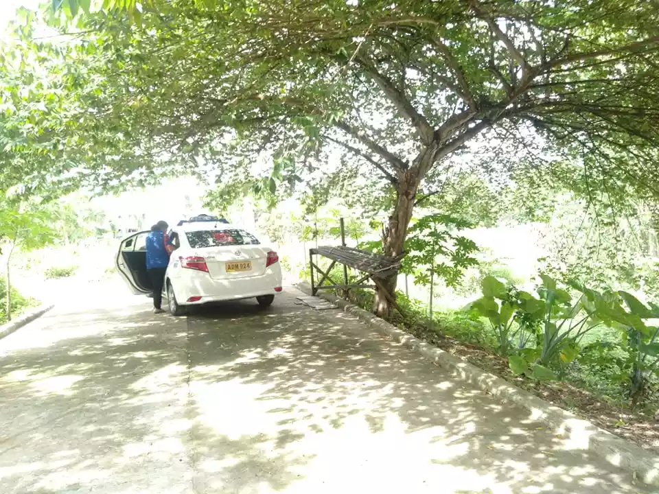 Titled lot for sale in Lilo an - photo 3