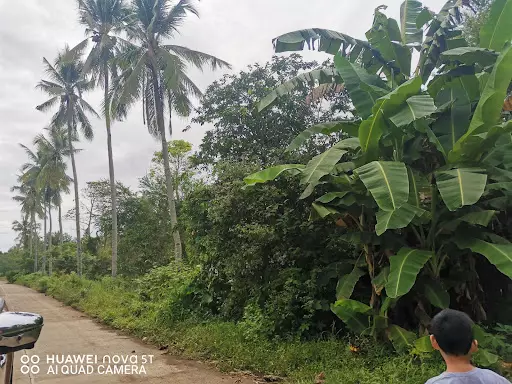 19,982 sqm land in Alabel, Sarangani — Agricultural Lot in Sarangani, Philippines — Photo 3