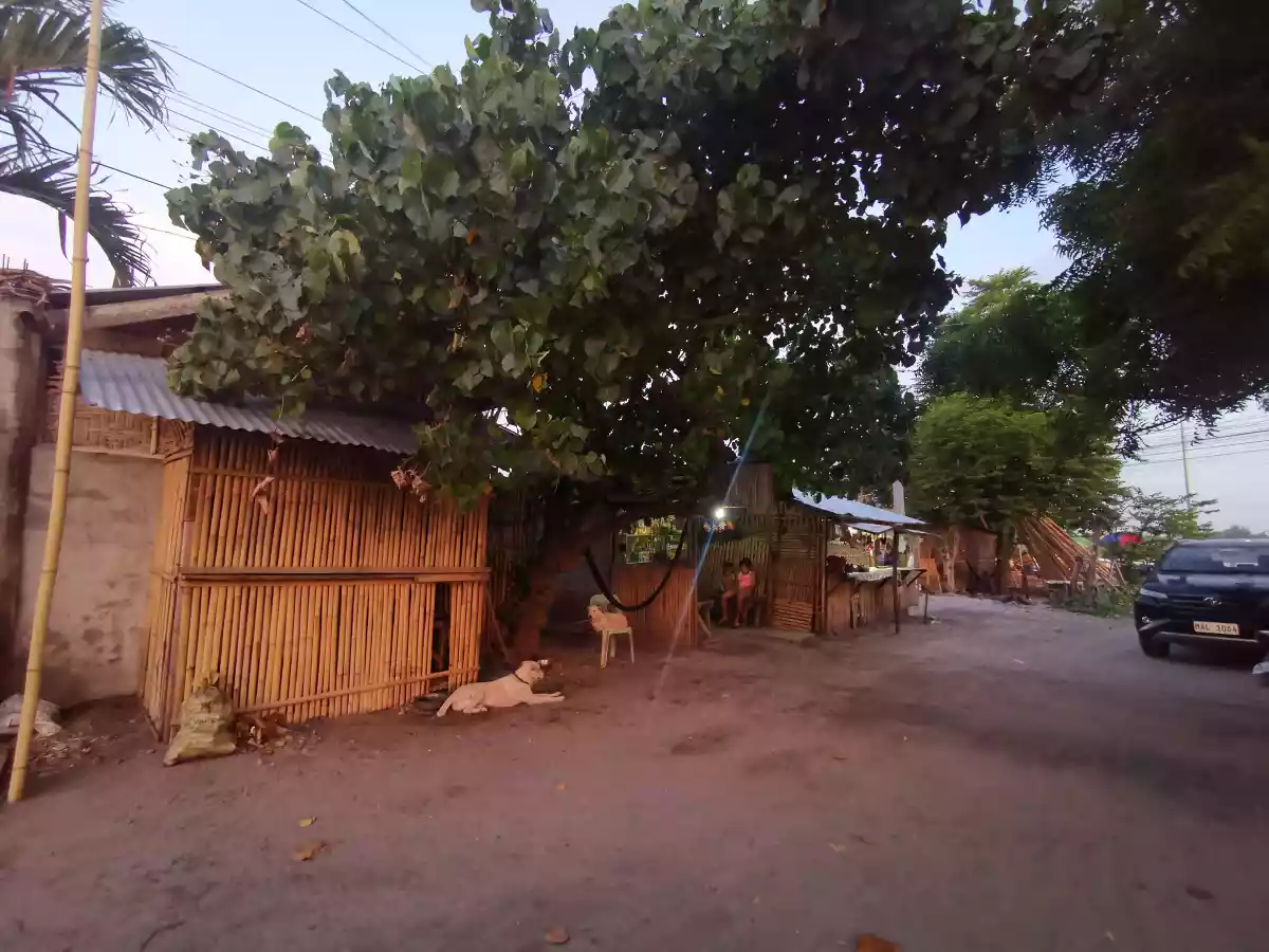 444sqm Commercial Lot Along Highway near Mira Clinic and MSU College Campus.  - photo 2