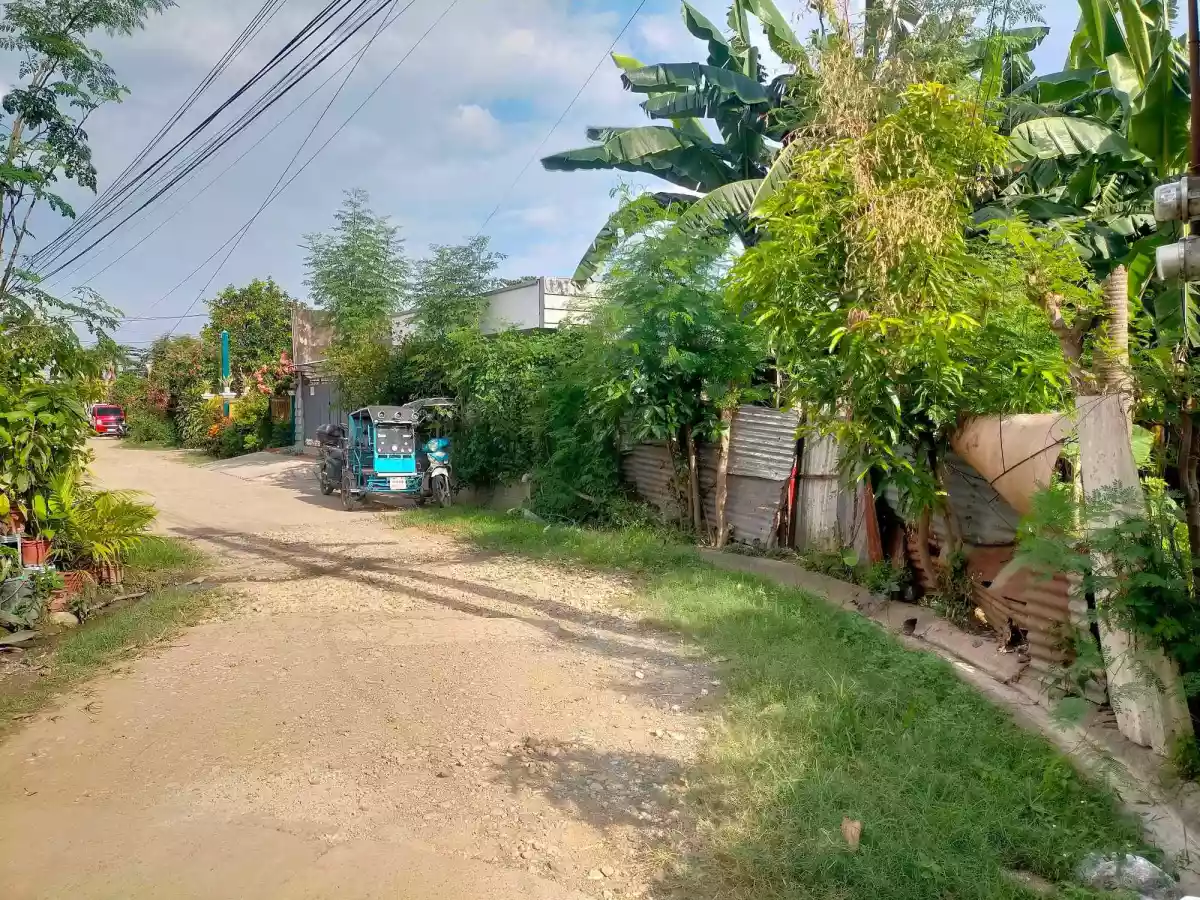 RESIDENTIAL LOT IN LIPATA MINGLANILLA  - photo 5