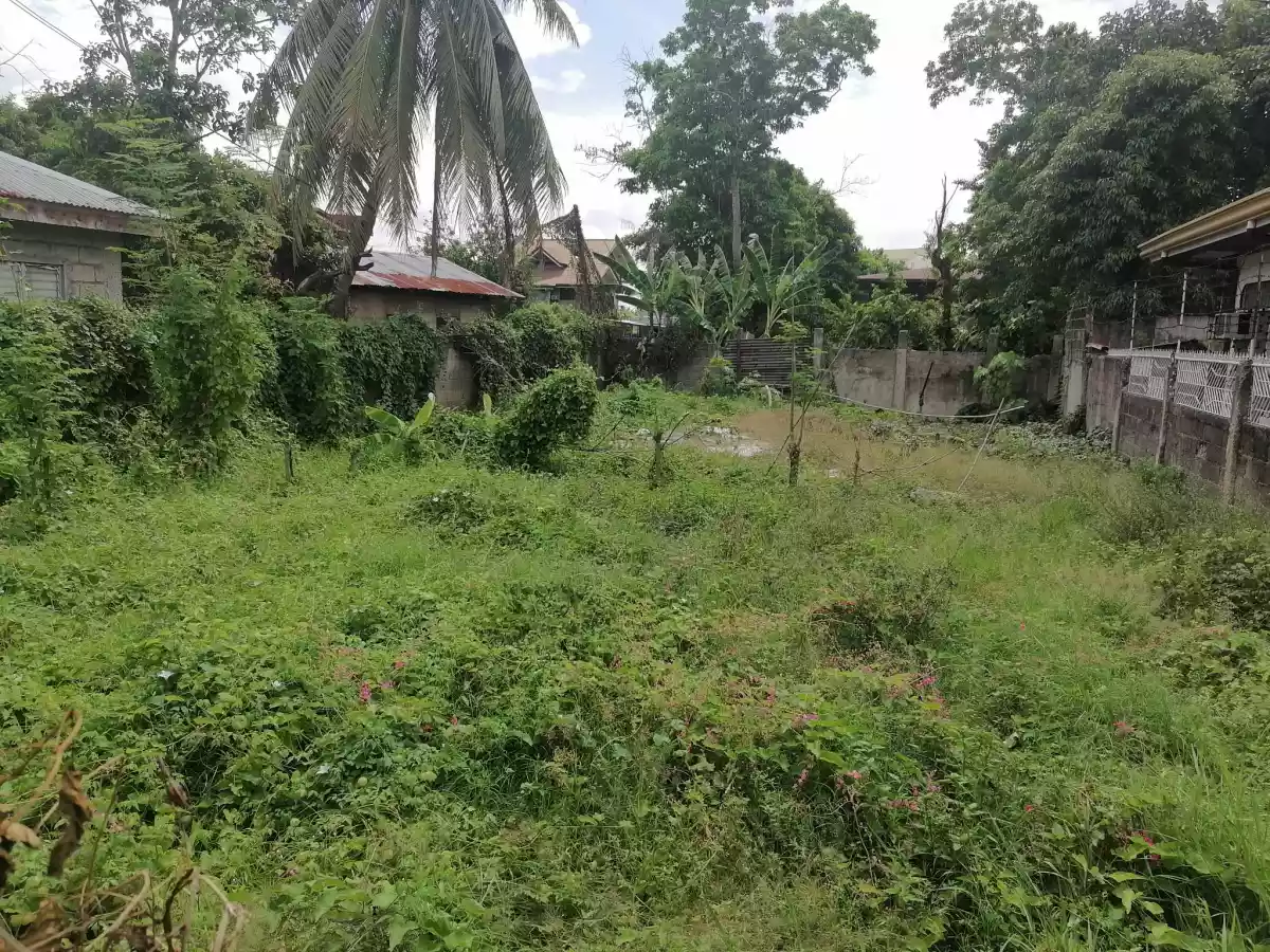 Lot for Sale - photo 3