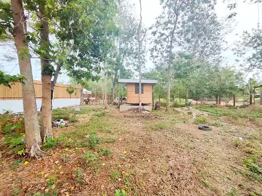 Open photo 16 of 19 — FENCED LOT FOR SALE IN BANKAL, LAPU-LAPU CITY
