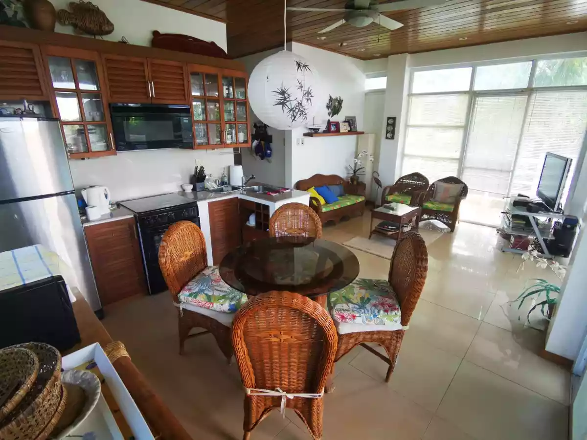 300 sqm House & Lot in Boracay - photo 3