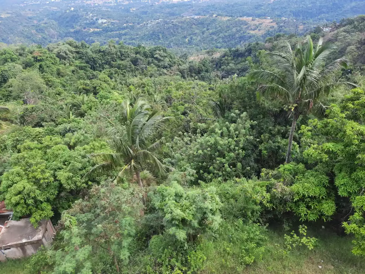 Tagaytay Taal Lake View Lot - photo 3