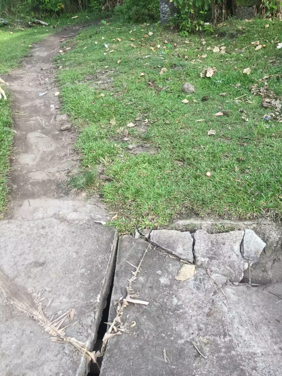 Upper cantel-e Lot  - photo 4