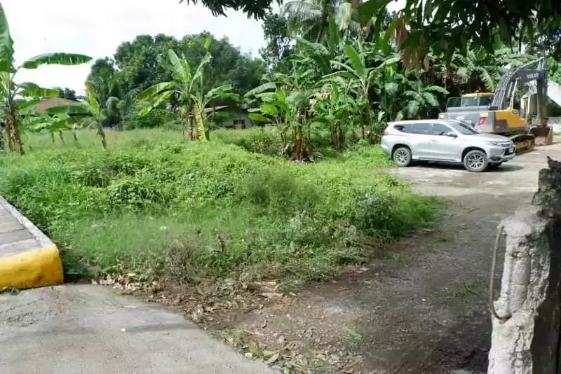 Rush Sale Lot in Arpili Balamban, Cebu. Along National Roadâ€¼ï¸ - photo 5