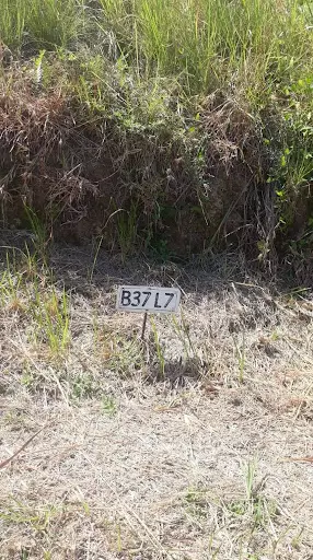 TEAKWOOD PRIME LOT — Residential Lot in Cagayan de Oro, Misamis Oriental, Philippines — Photo 4