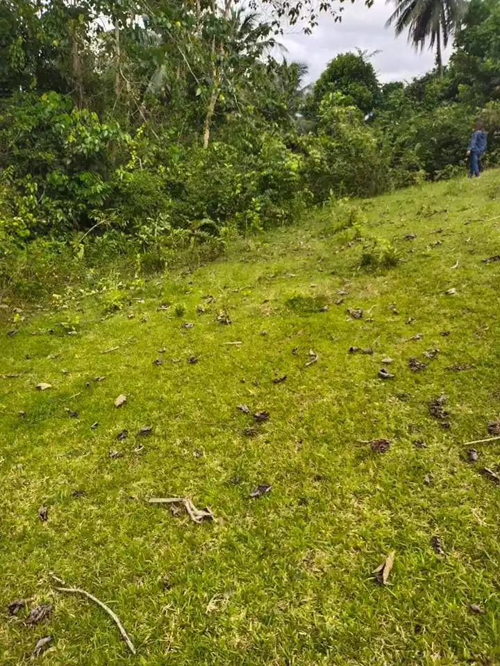 1.2 HECTARES IN ROSARIO ALOGUINSAN CEBU - photo 7