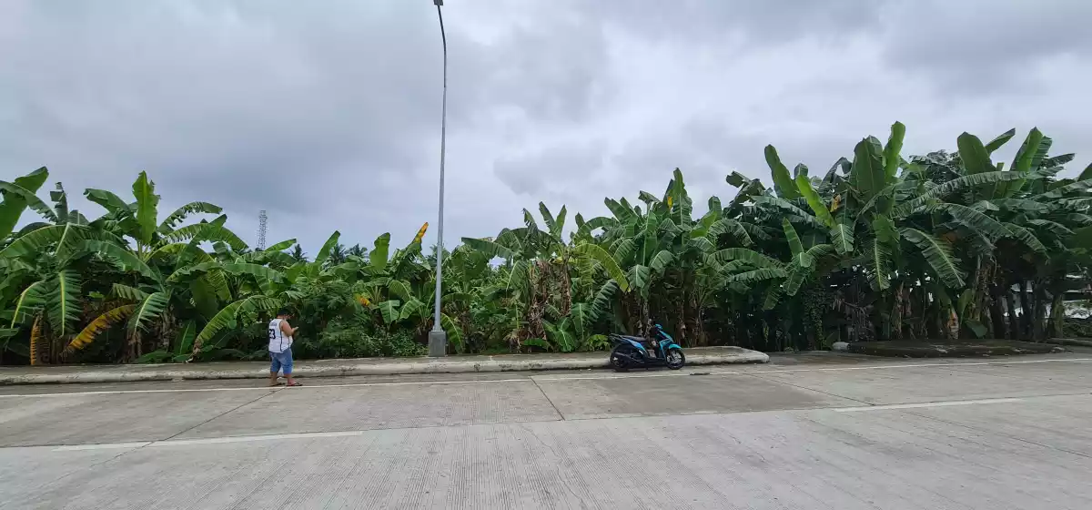 LOT along Sibulan Diversion Road — Residential Lot in Sibulan, Negros Oriental, Philippines — Photo 5