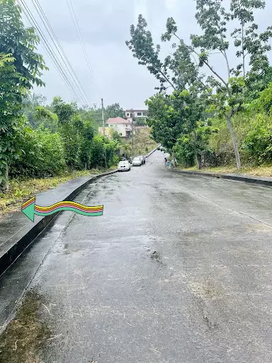 Lot with mountain view in Casili — Residential Lot in Greenville Street, Upper Casili, Consolacion — Photo 5