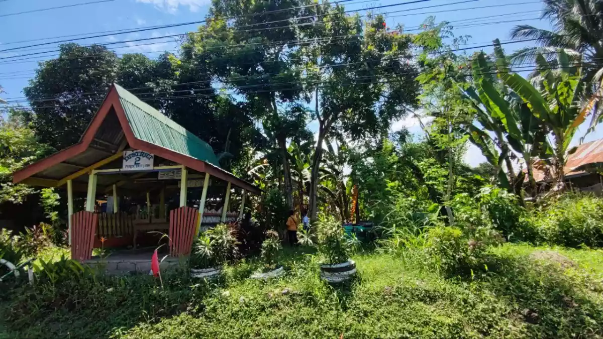 Commercial/Residential along with National highway - photo 4