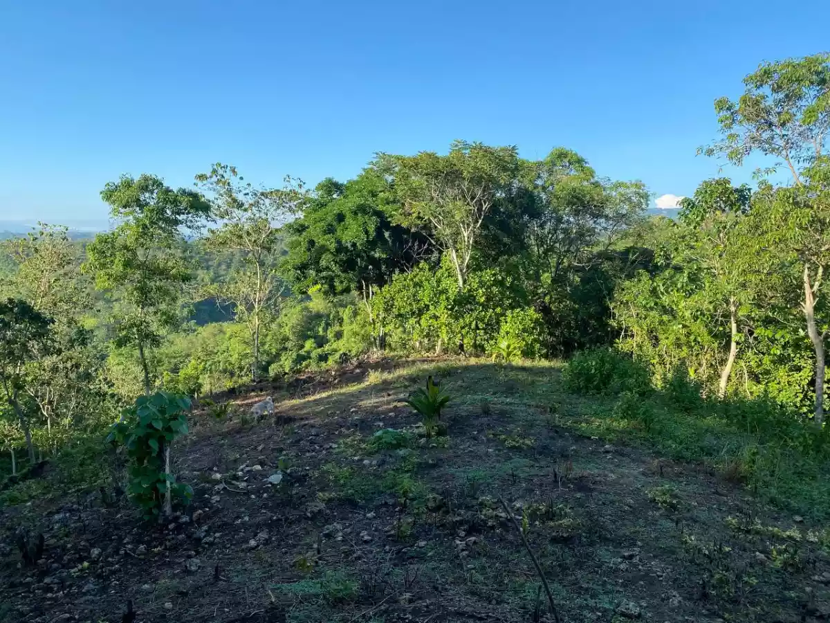 Open photo 18 of 27 — Over Looking LOT FOR SALE along Brgy Road Bayanga, Cagayan de Oro City