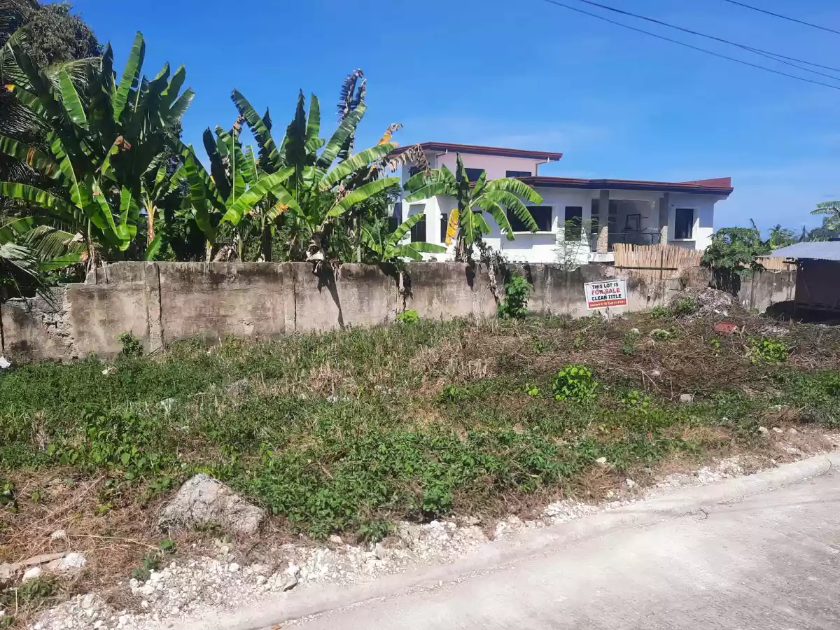 TITLED LOT FOR SALE - LILOAN CEBU - photo 2