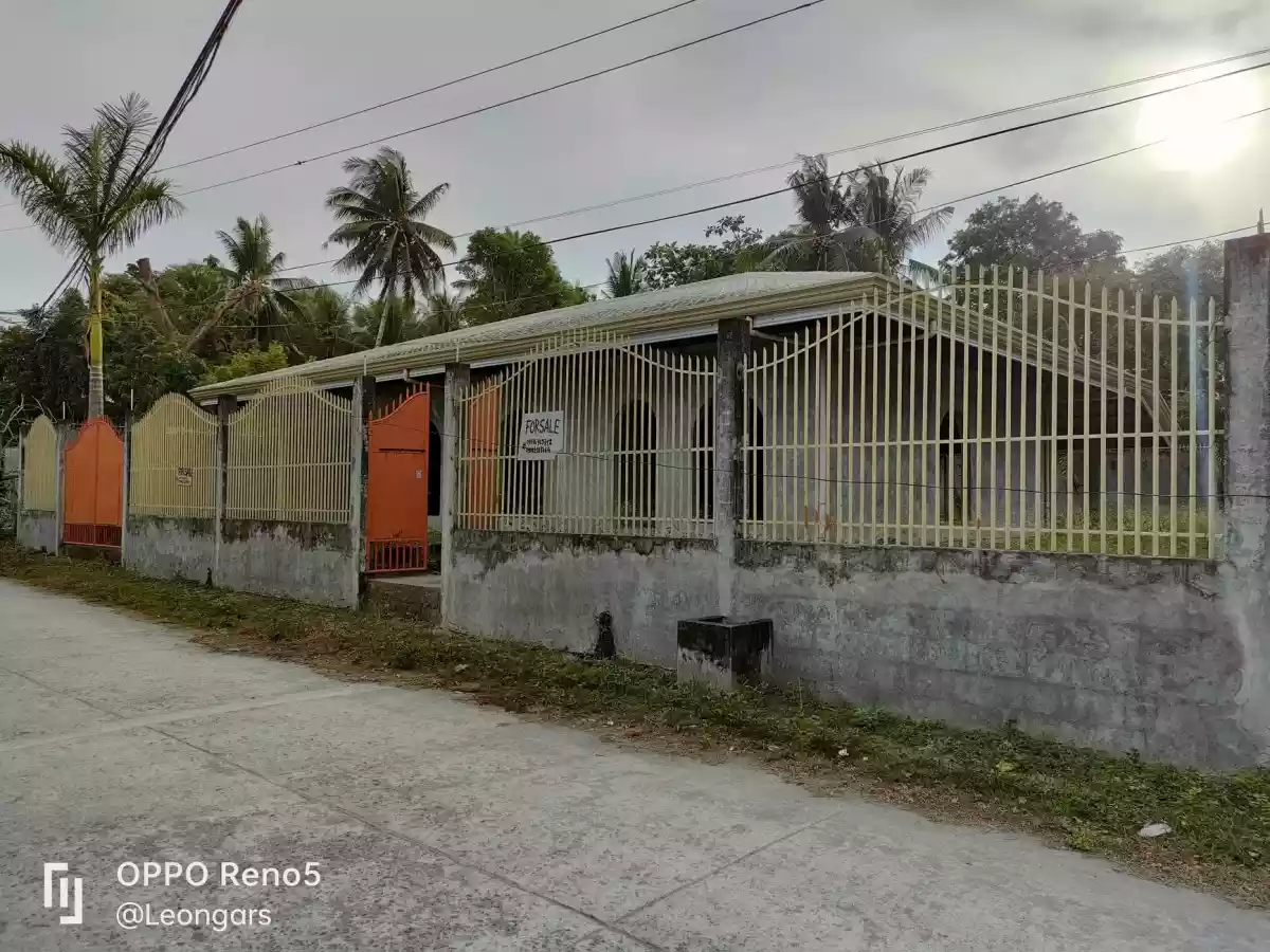 Unfinished House and Lot (European inspired design) for RUSH Sale in Bacong — House and Lot in Negros Oriental, Philippines — Photo 2
