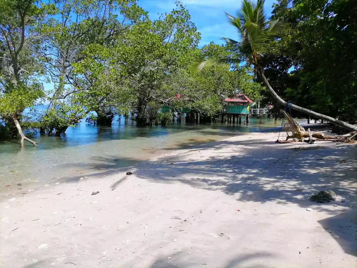 568 SQM Beach Lot FOR SALE!  - photo 4