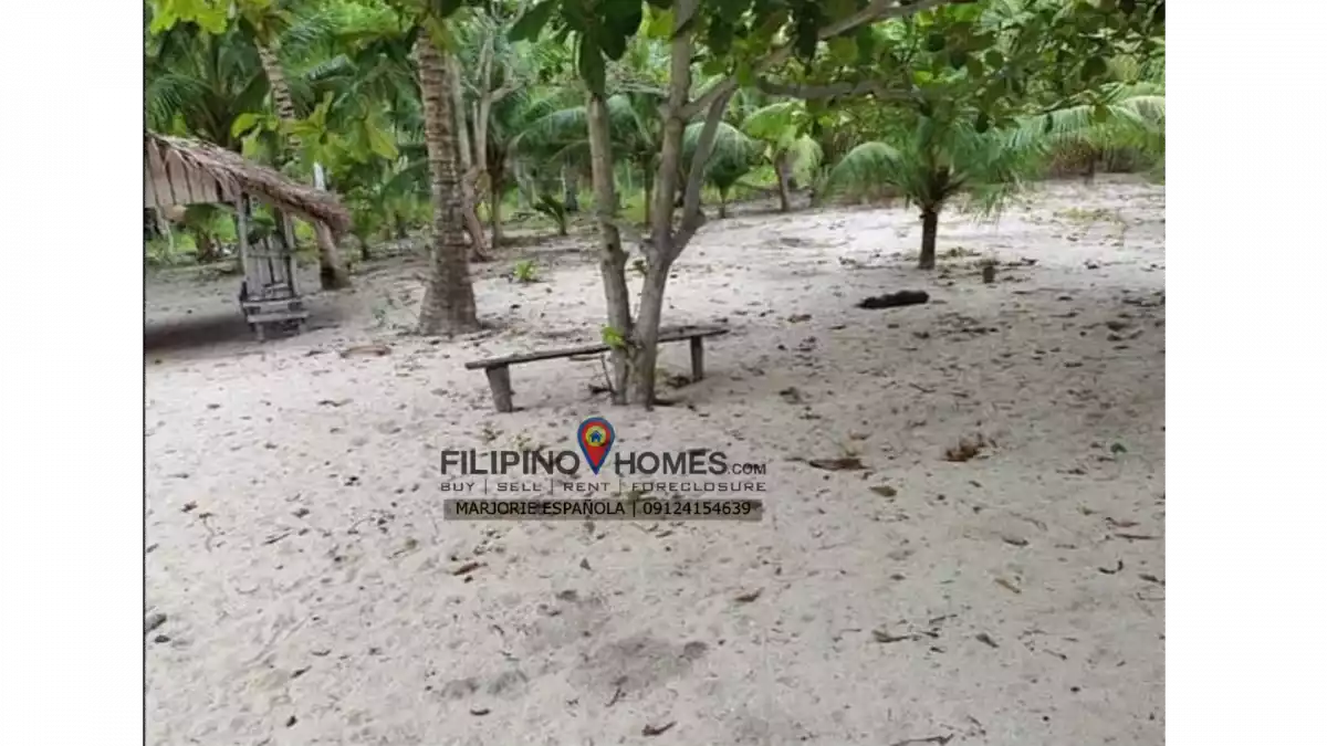 BEACH LOT FOR SALE (GLAN) — Beach Lot in Sarangani, Philippines — Photo 2