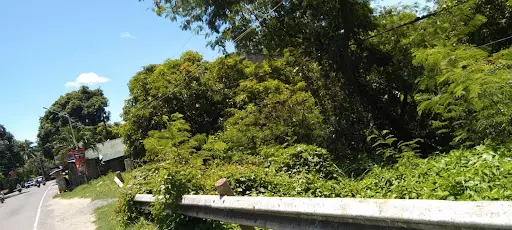 Commercial Lot in Carmen Cebu for SALE! — Commercial Lot in Carmen, Cebu, Philippines — Photo 4