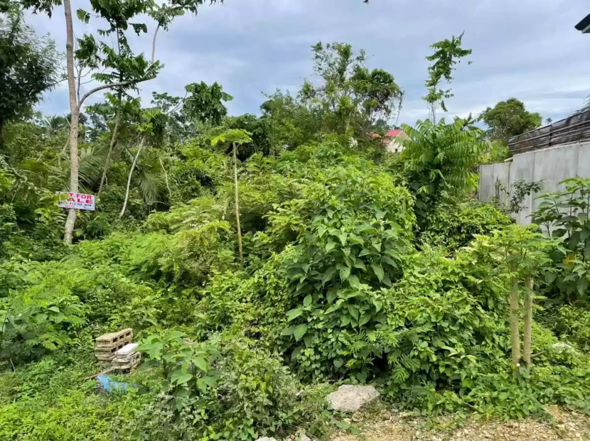 RESIDENTIAL LOT-DAO TAGBILARAN — Residential Lot in Tagbilaran City, Bohol, Philippines — Photo 5