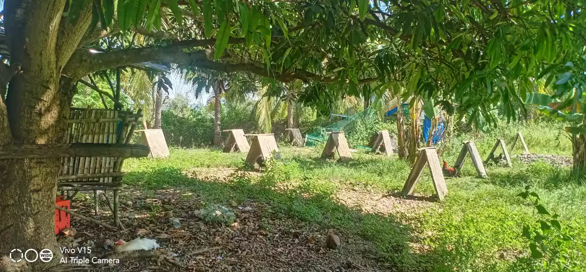 Open photo 11 of 13 — FARM LOT FOR SALE IN DALAGUETE, CEBU