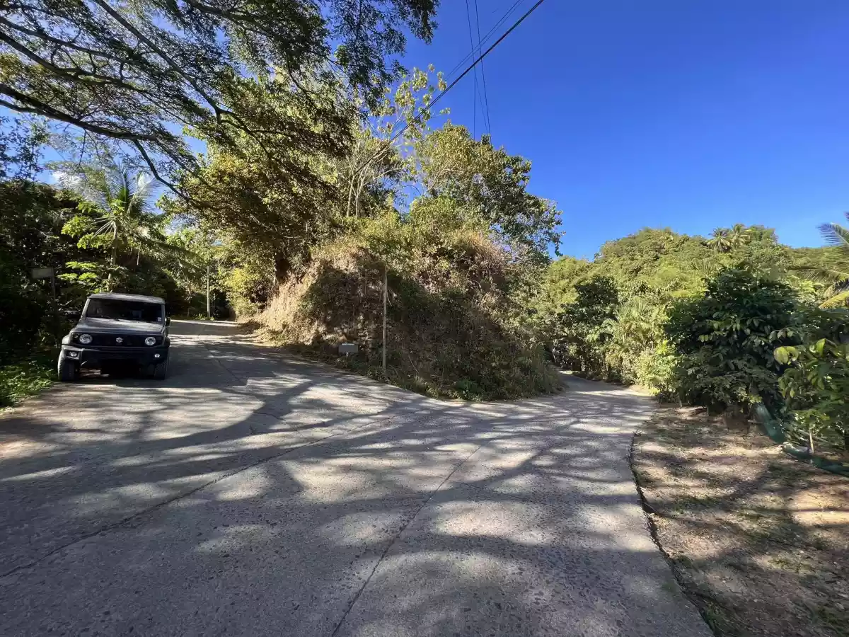 Lot for Sale in Lanipga Consolacion, Cebu — Agricultural Lot in Cebu, Philippines — Photo 2