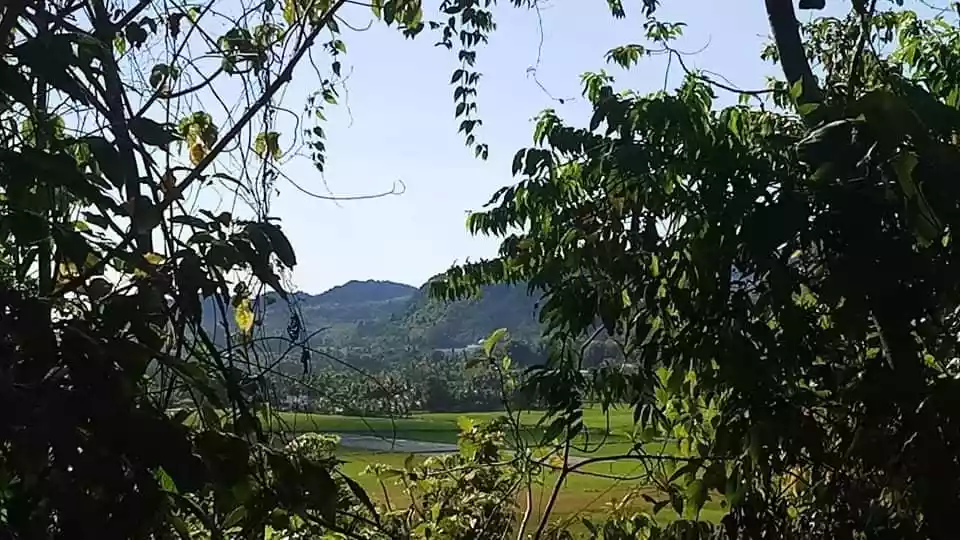 LOT FOR SALE in Sipalay city good for Residential and Inland Resort — Agricultural Lot in Negros Occidental, Philippines — Photo 3